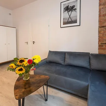 Provenir Kwiatowa 5 *
