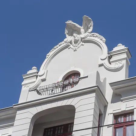 Provenir Kwiatowa 5